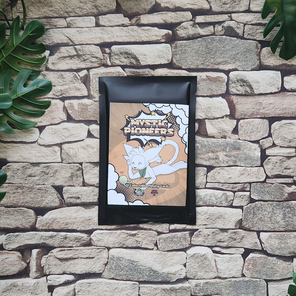 A black-framed art print featuring a cartoon white cat and the text 'MYSTIC PIONEERS' is mounted on a rustic stone wall with green leaves in the corners.